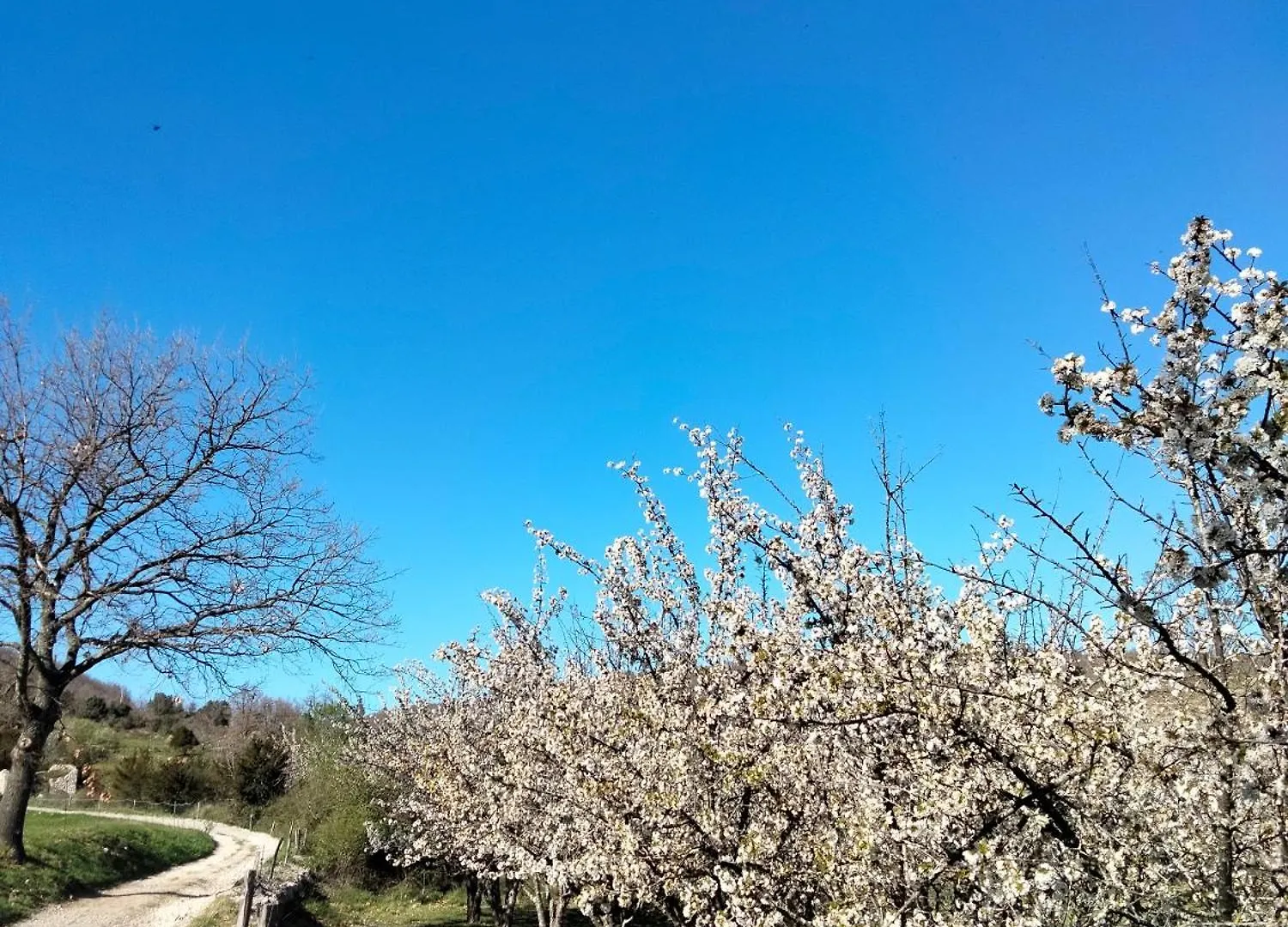 Guest house La Grange De Sabatas Hotel Chomerac